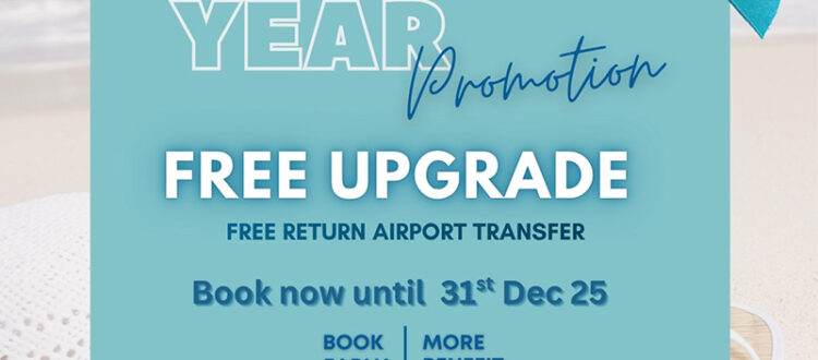 End of Year Promotion